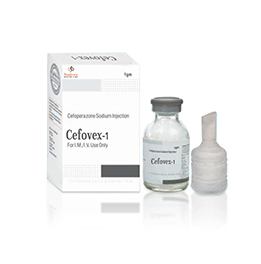 Cefovex–1